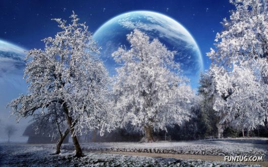 Beautiful Winter Special Wallpapers