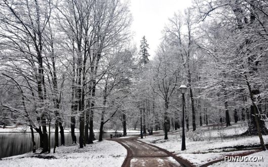 Beautiful Winter Special Wallpapers