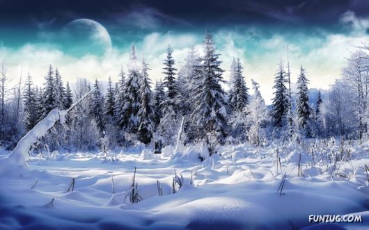 Beautiful Winter Special Wallpapers