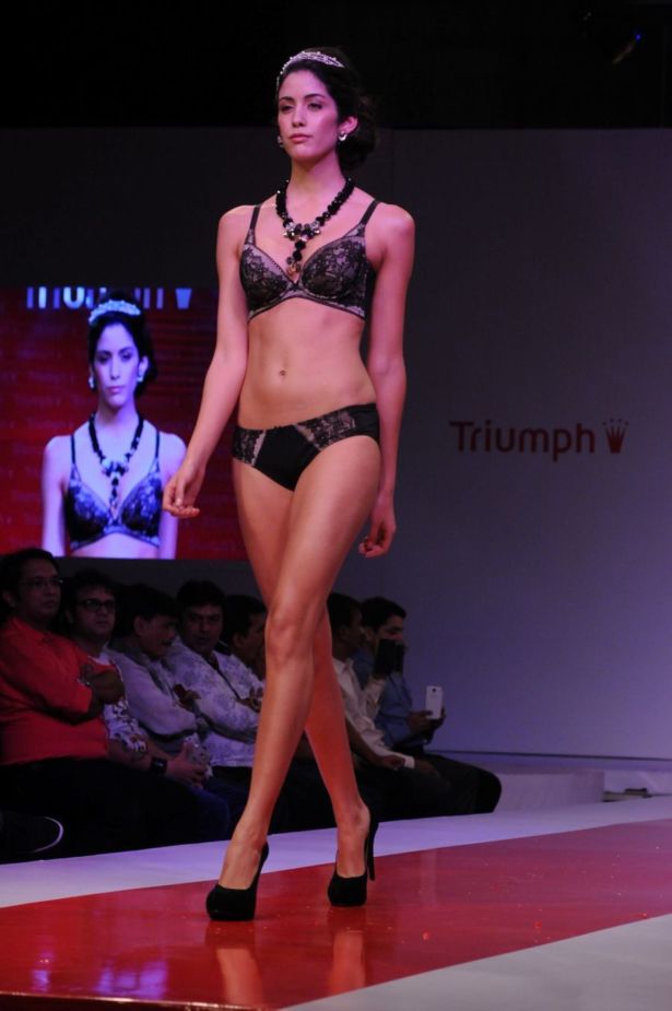 Triumph pics/pics1 Show 2014 Photos