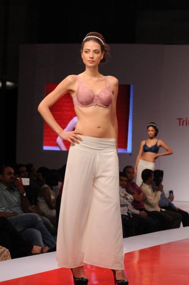 Triumph pics/pics1 Show 2014 Photos