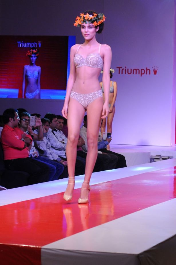 Triumph pics/pics1 Show 2014 Photos