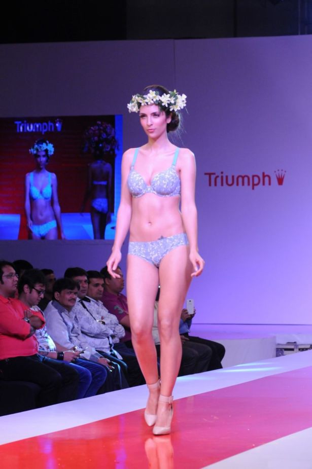 Triumph pics/pics1 Show 2014 Photos