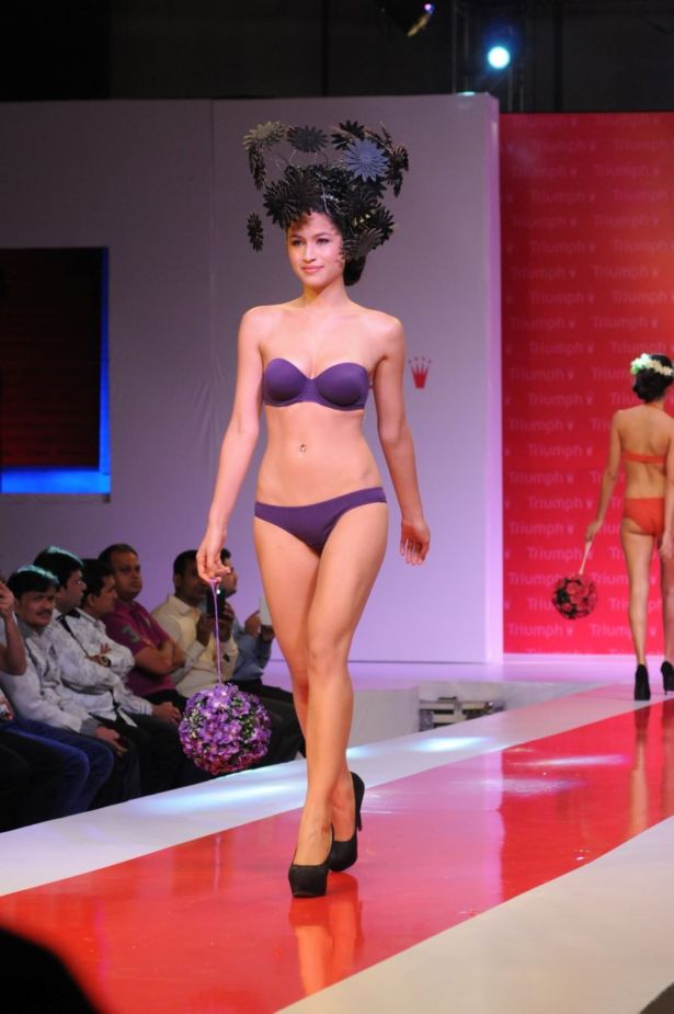 Triumph pics/pics1 Show 2014 Photos