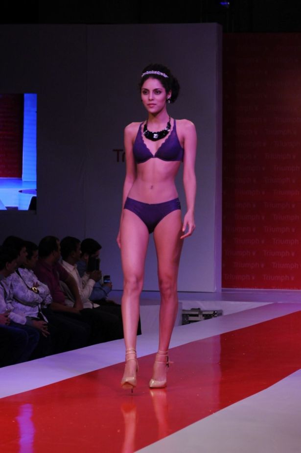 Triumph pics/pics1 Show 2014 Photos