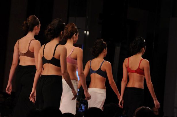 Triumph pics/pics1 Show 2014 Photos